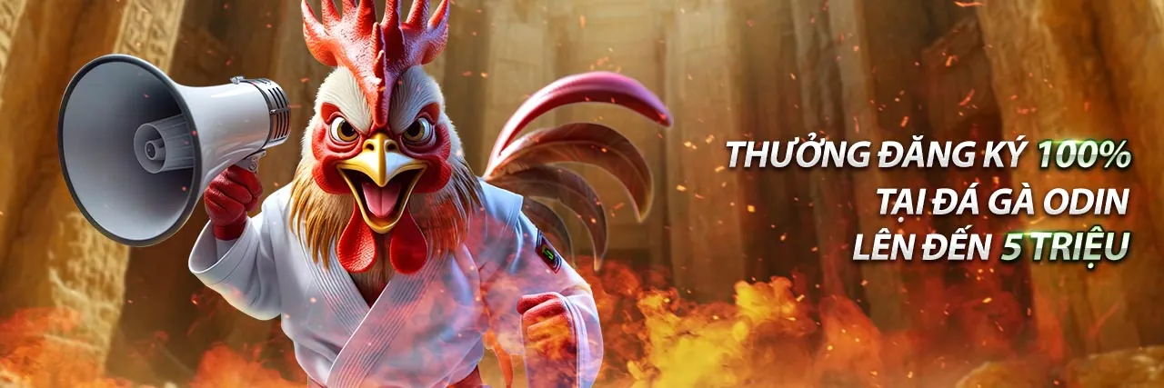 Khuyến mãi 55win bet chào mừng