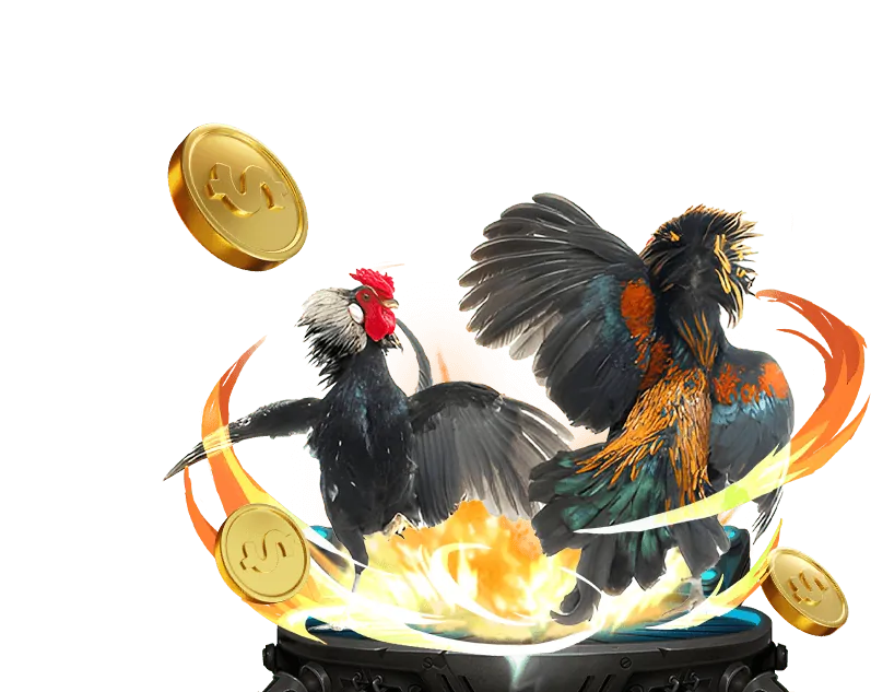 Danh tiếng và lịch sử hoạt động của nhà cái